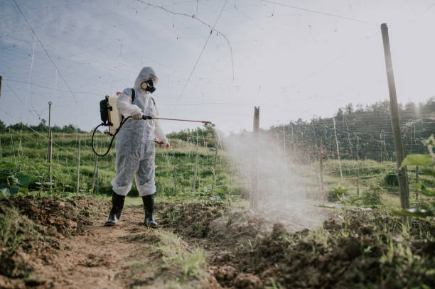 Best Ant Control Services  in Tipton, CA