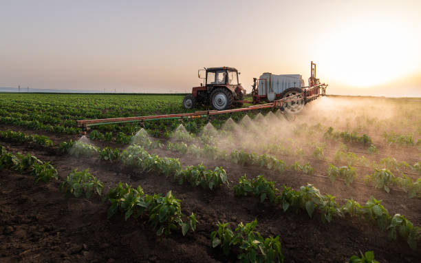 Best Local Pest Control Services  in Tipton, CA