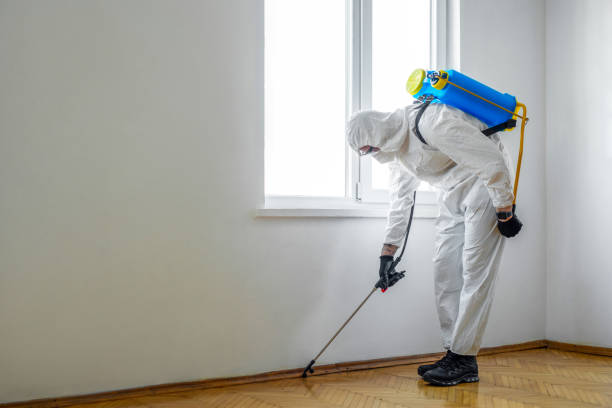 Best Best Pest Control Companies  in Tipton, CA